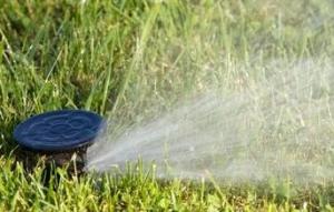 a sprinkler head installed by our Vacaville irrigation repair techs